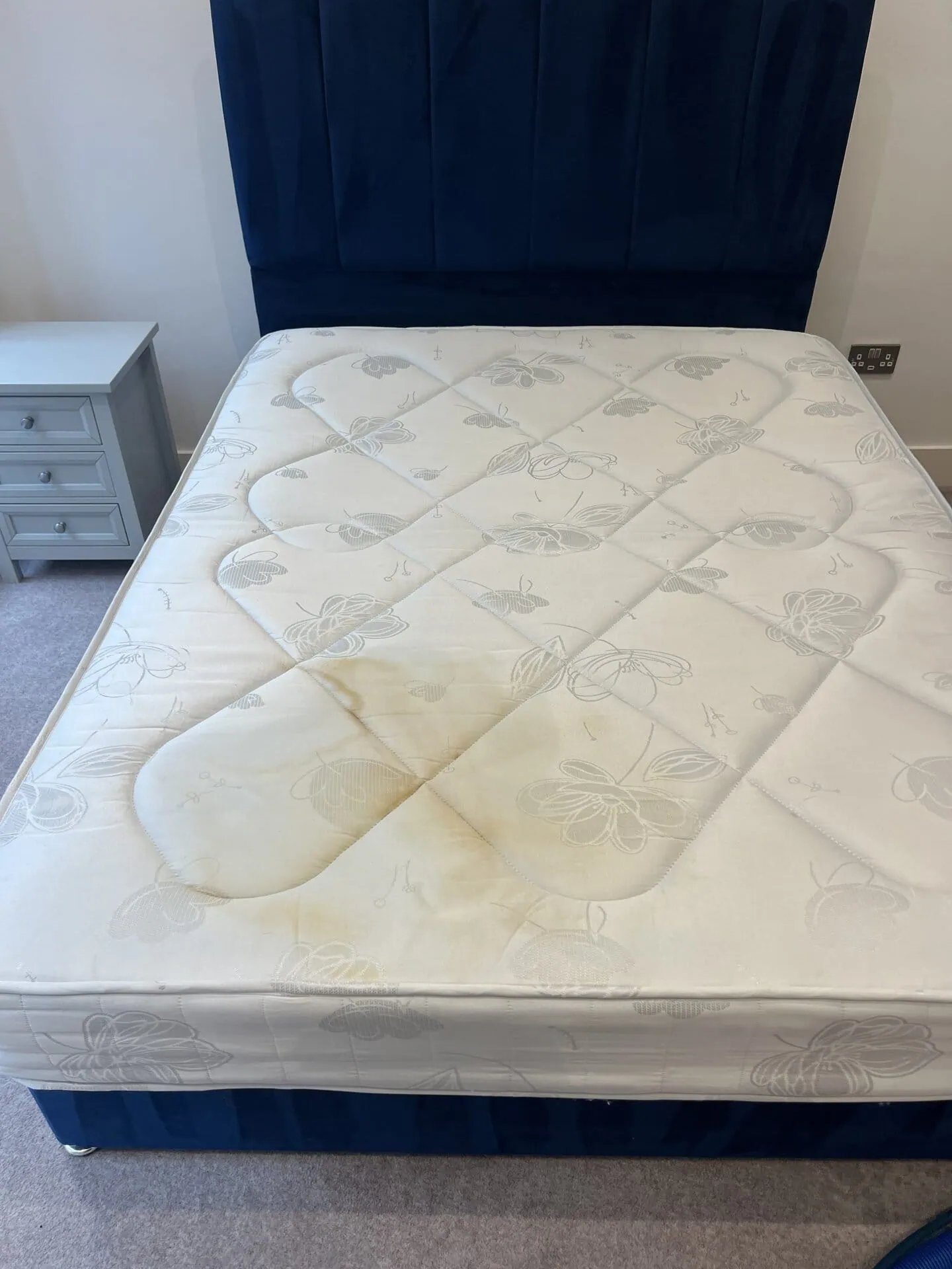 Double mattress on a navy upholstered bed with yellow sweat and urine staining across the sleeping area, before cleaning